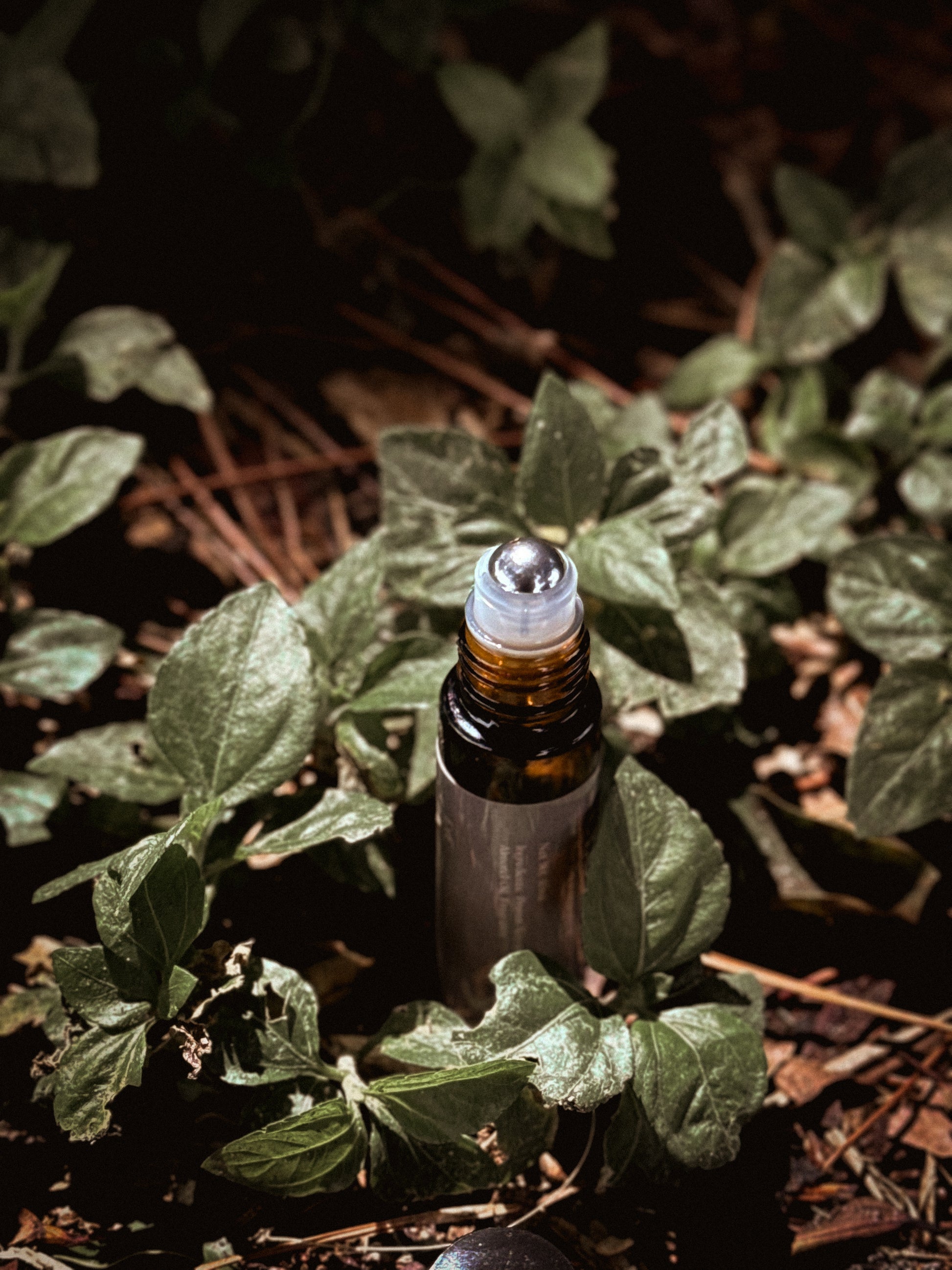 Ash & Amber Perfume Roller — Toasted Marshmallow, Honey & Amber Scent | 10ml Rol image 1