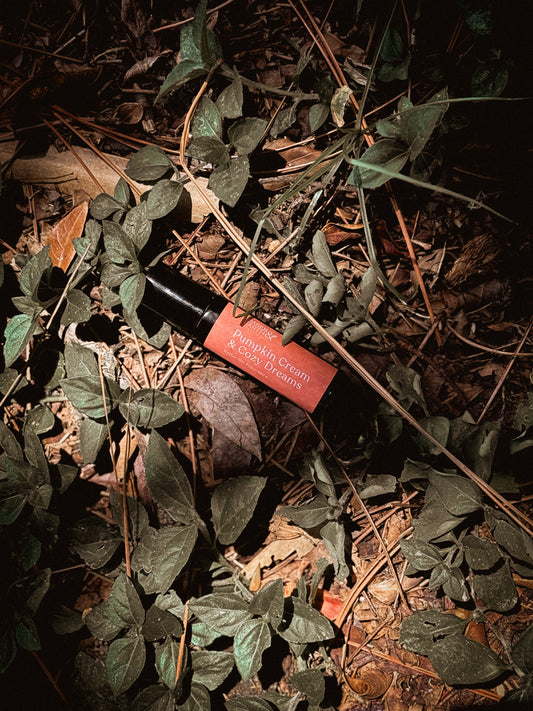 Pumpkin Cream & Cozy Dreams Perfume Roller — Pumpkin, Caramel & Coconut Cream image 1