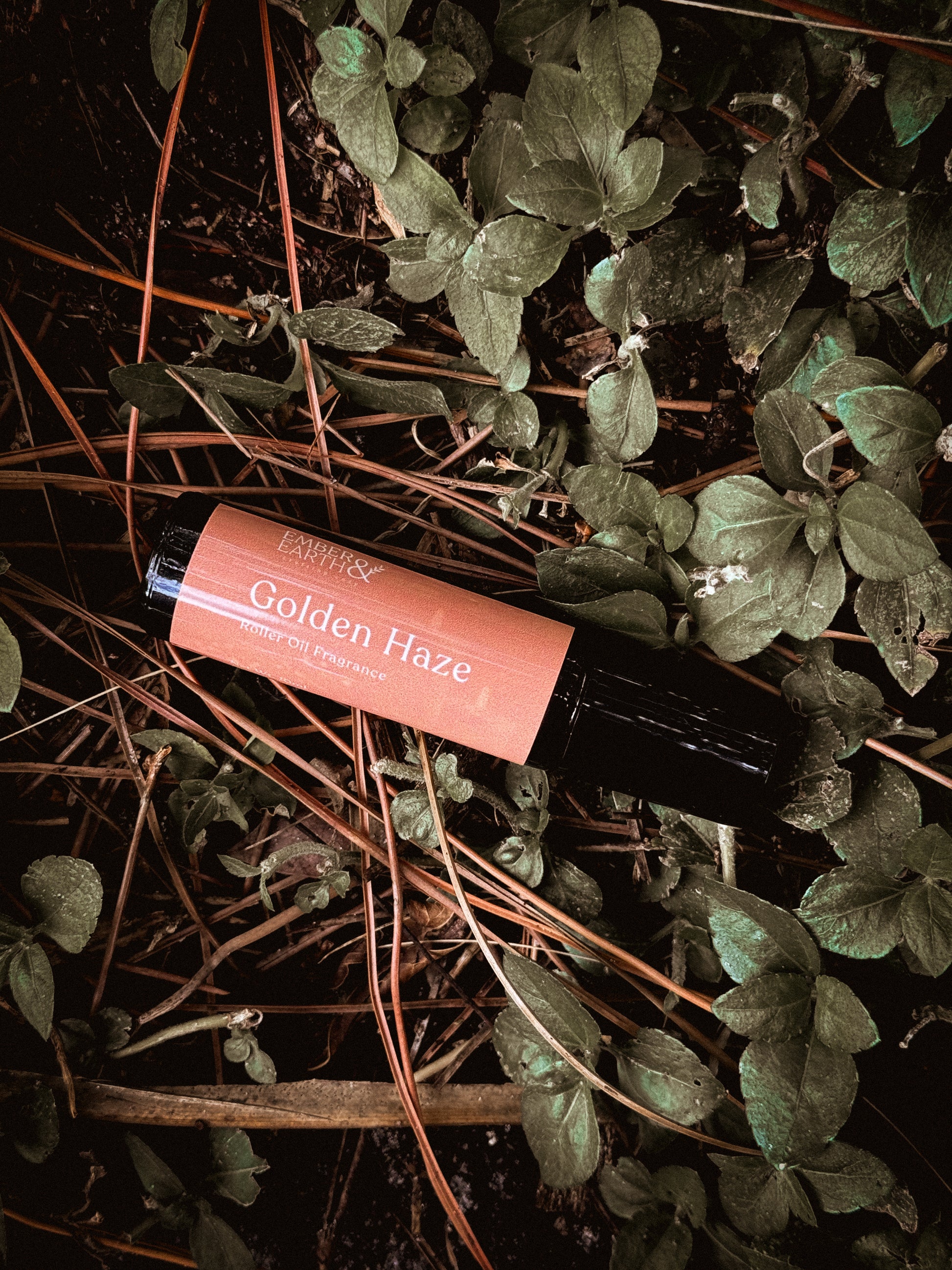 Golden Haze Perfume Roller — Butterscotch, Bourbon & Vanilla Musk Scent | 10ml  image 0